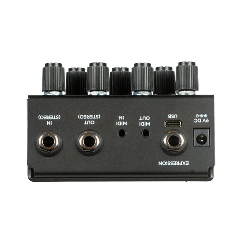 Old Blood Noise Bathing Liminal Delay Pedal Ink