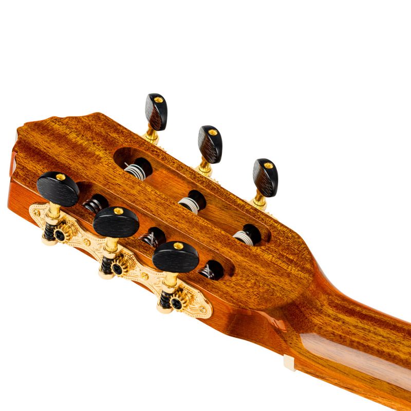 Ortega RCE170F Nylonstrengs Flamenco Gitar m/Mikrofon og Bag